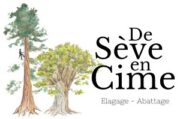 De sève en cime élagage
