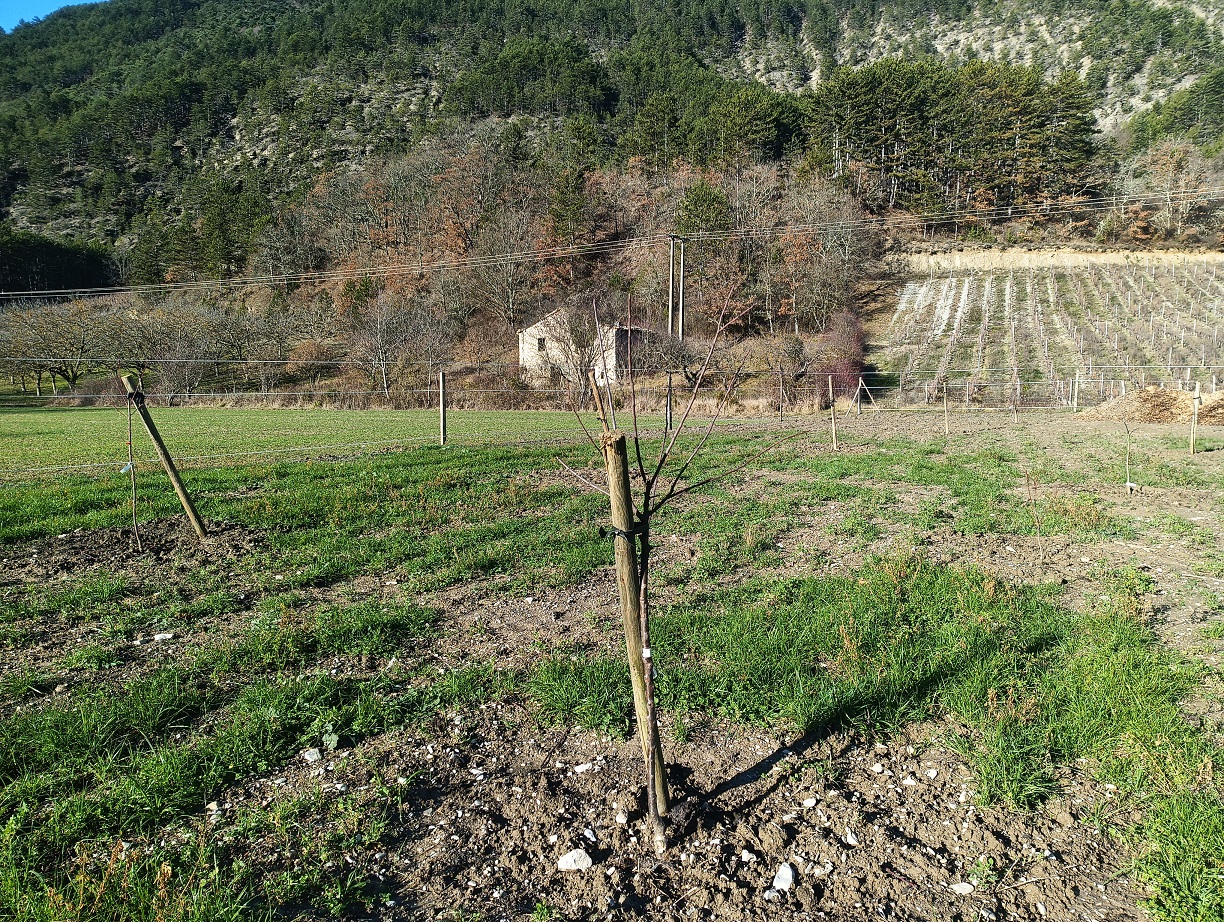 IMG_20251227_114339_007