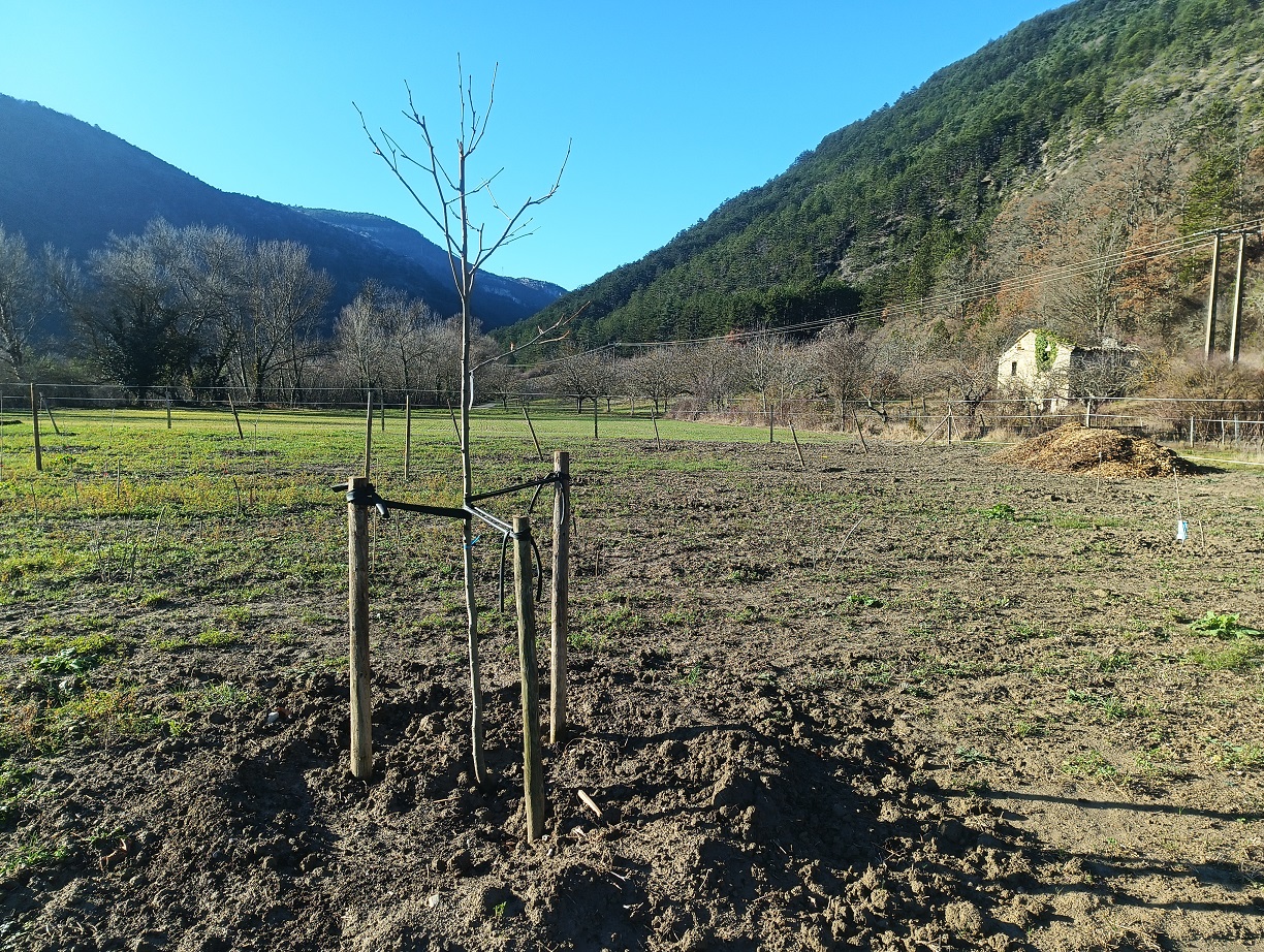 IMG_20251227_114421_375