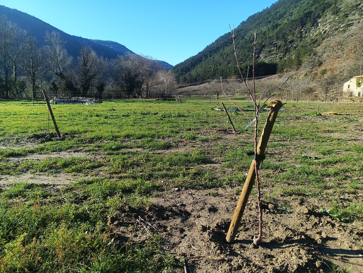 IMG_20251227_114507_221