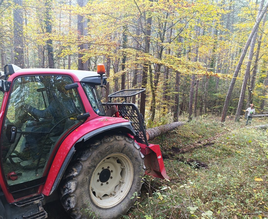 IMG_20241105_142554_276