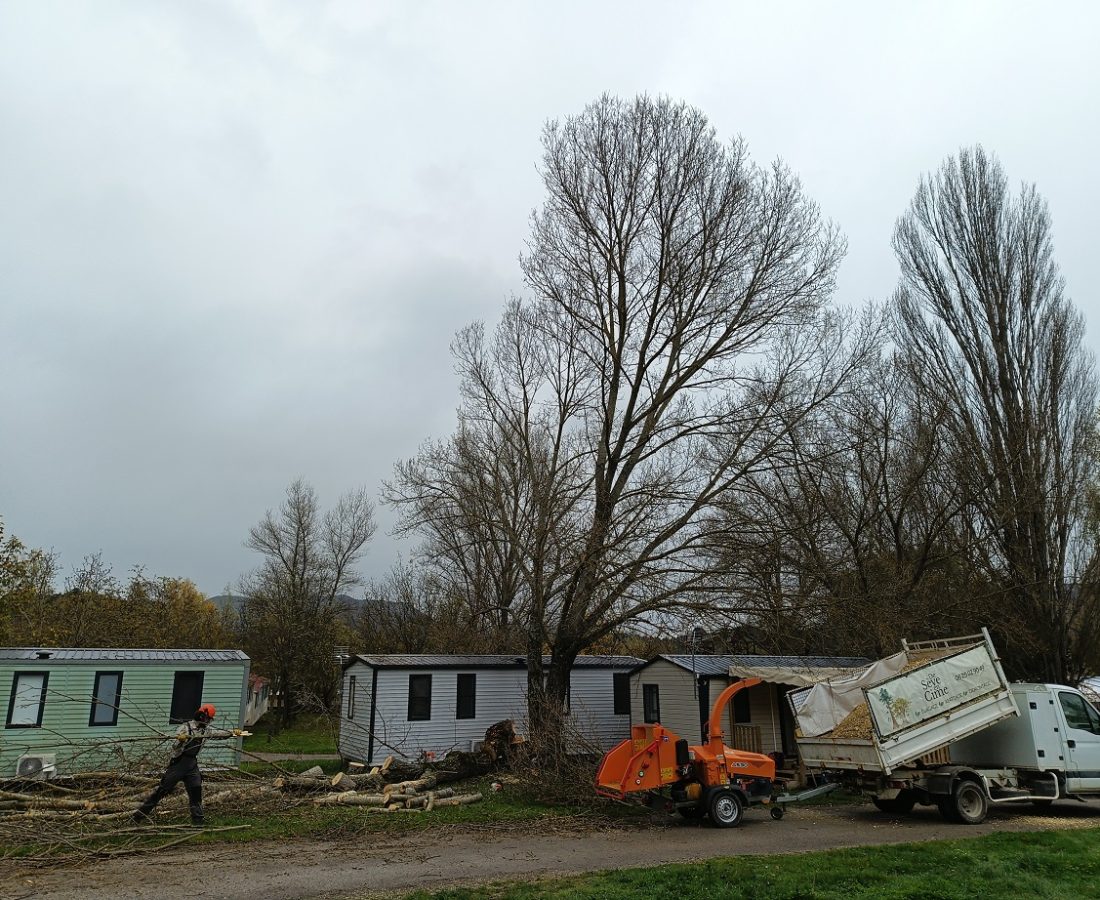 IMG_20241112_105559_198