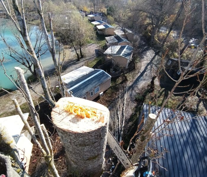 IMG_20241114_112428_936