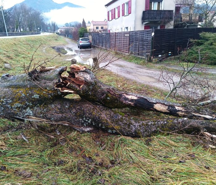 IMG_20250128_084417_407