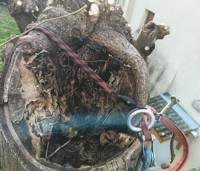 IMG_20251112_091937_107