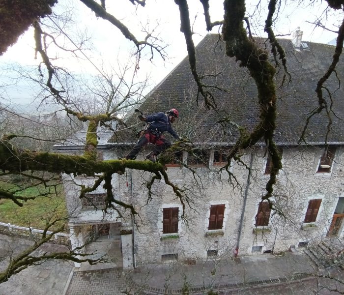 IMG_20251222_112845_663