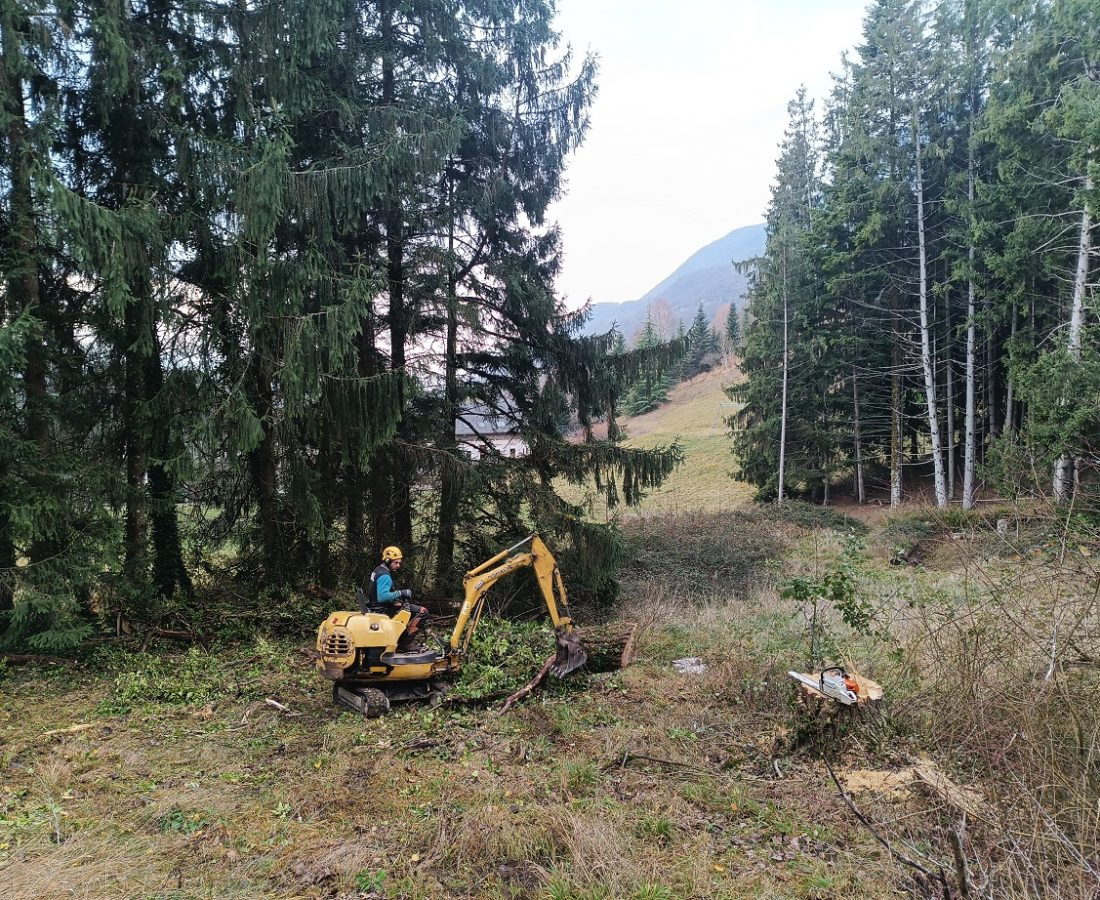 IMG_20251223_142551_952