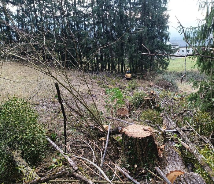 IMG_20251223_151747_531