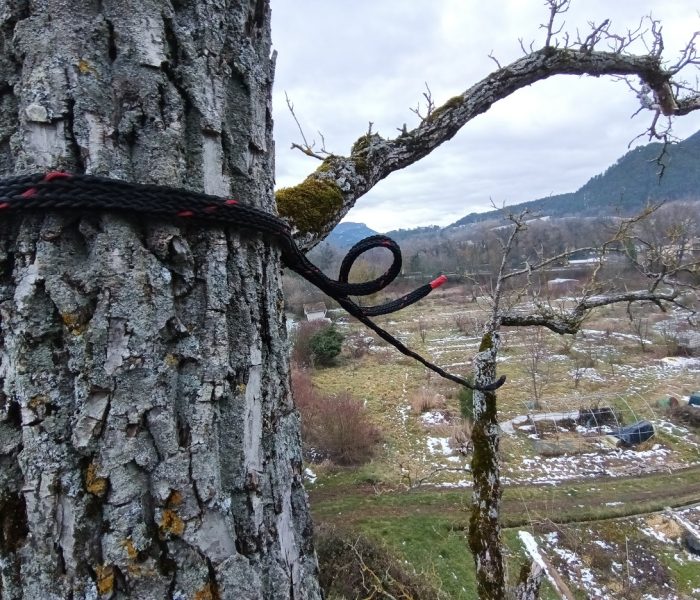 IMG_20260113_092256_946