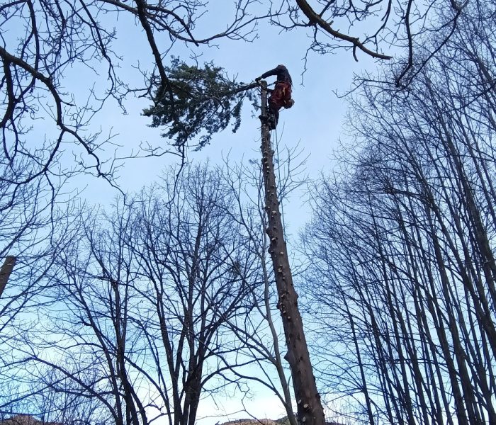 IMG_20260114_095954_439