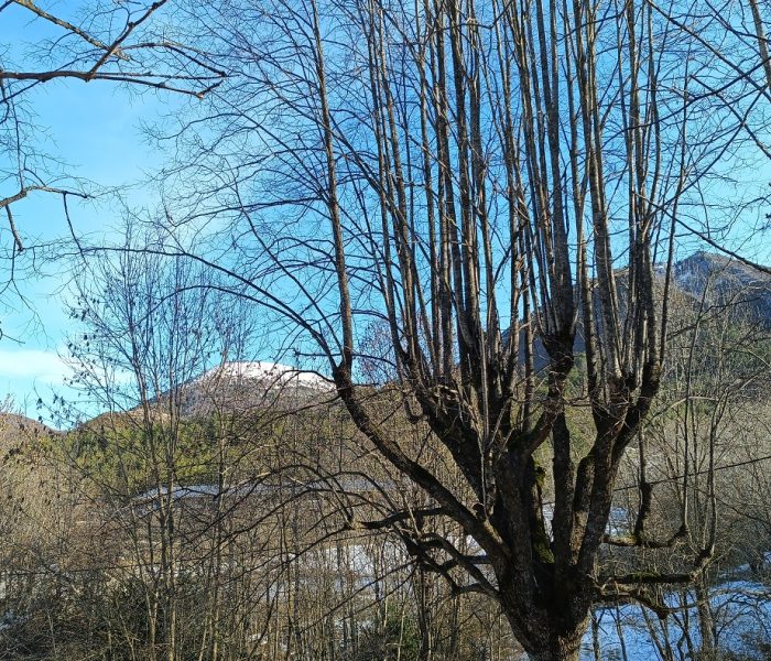 IMG_20260114_105027_781