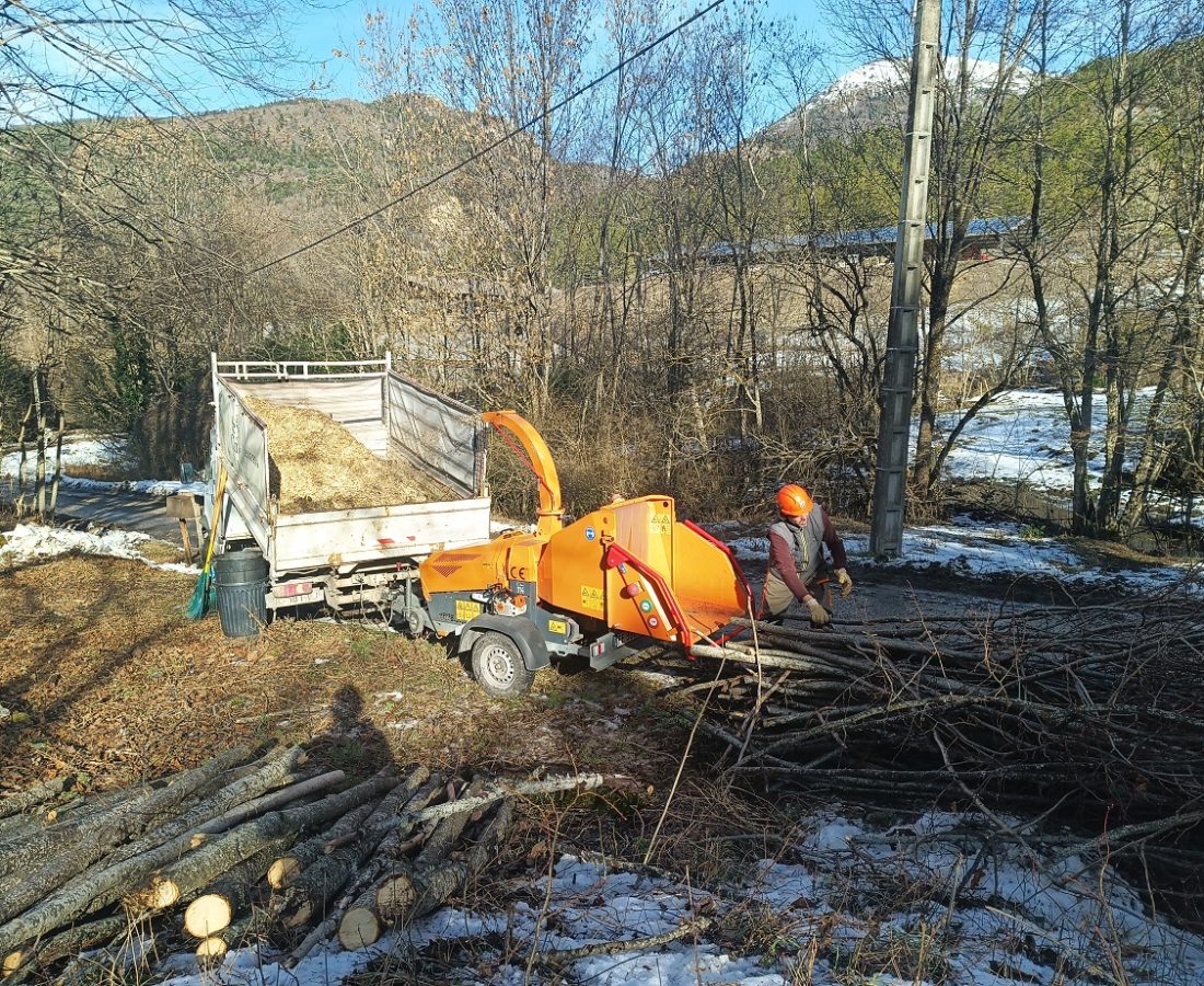 IMG_20260114_133056_346