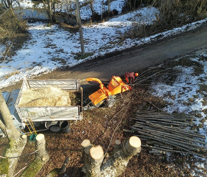 IMG_20260114_133744_458