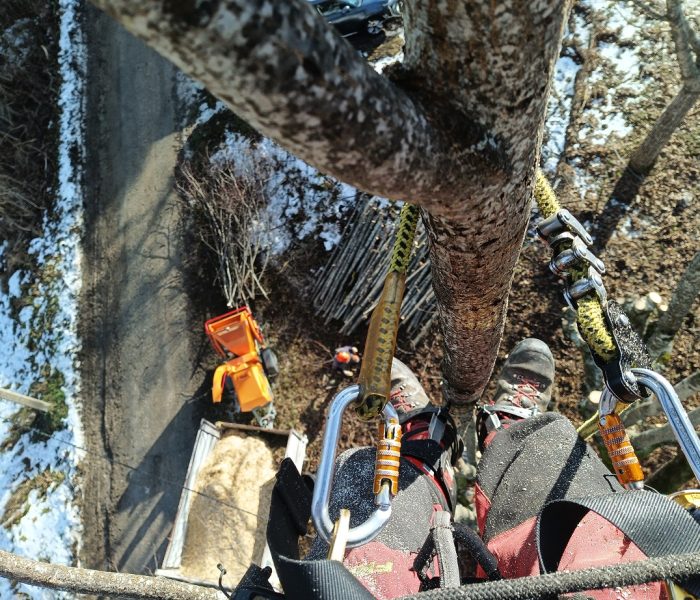 IMG_20260114_142611_063