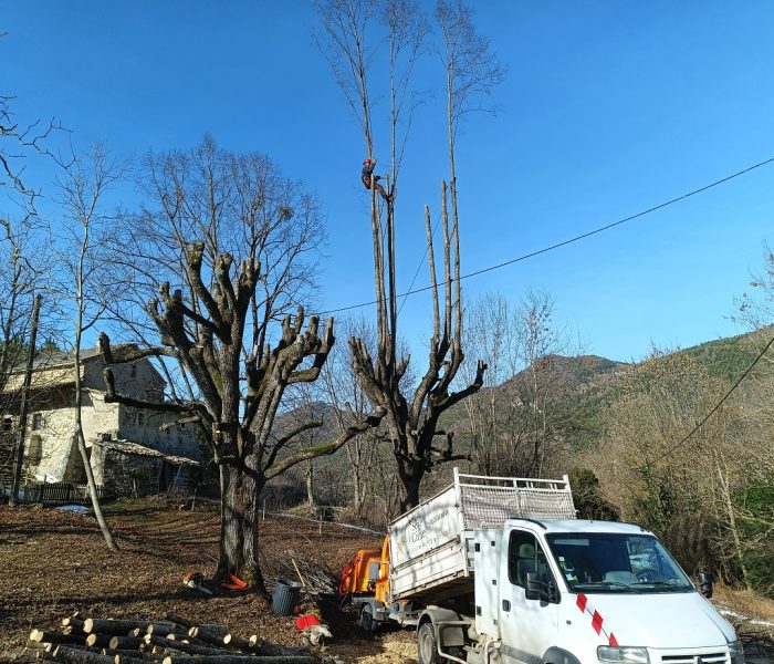 IMG_20260115_134056_360