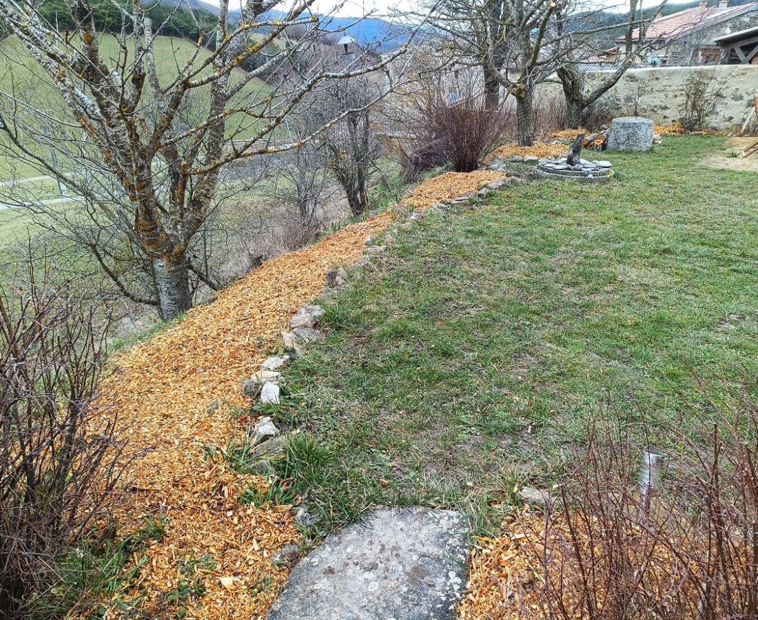 IMG_20260127_112356_743