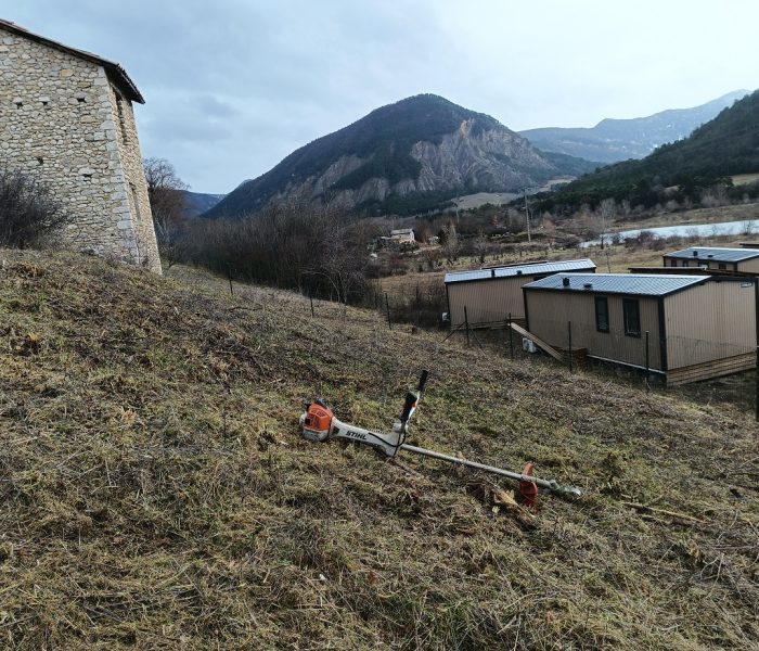 IMG_20260202_162545_843