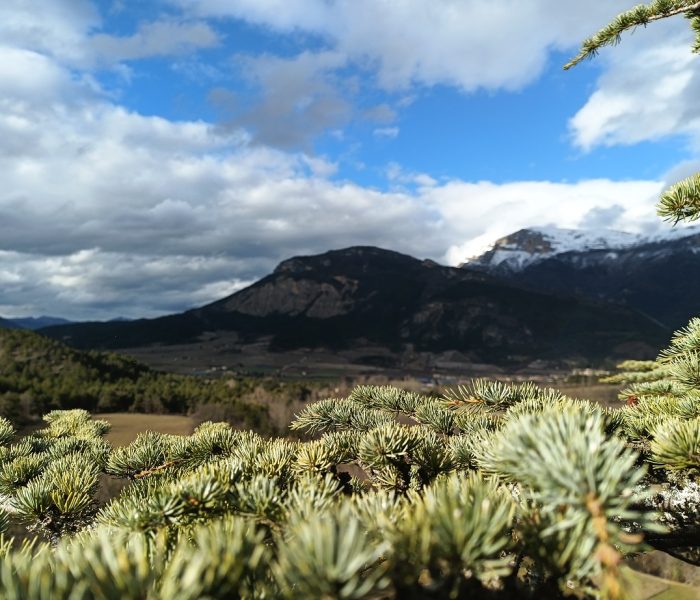 IMG_20260203_151557_249