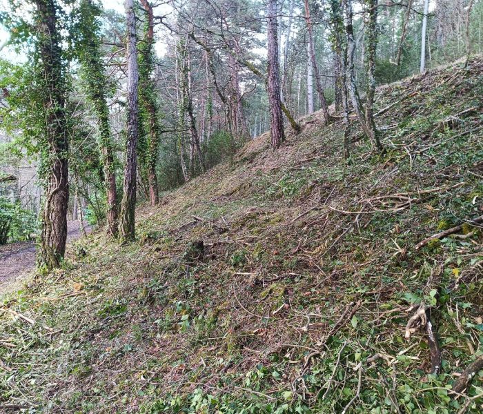 IMG_20260203_165201_610