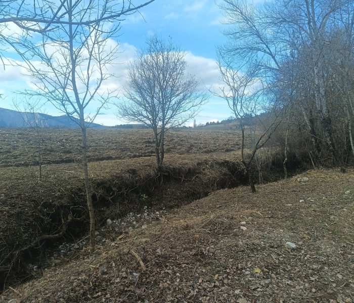 IMG_20260209_145414_181