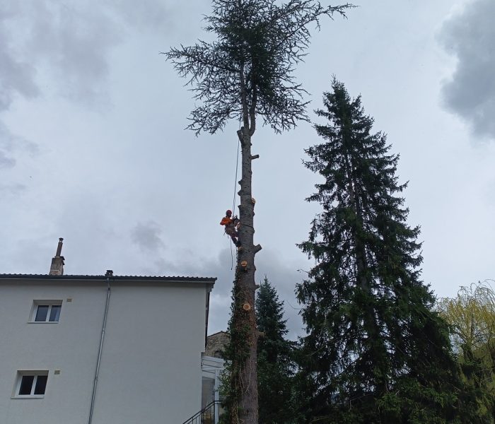 IMG_20260311_133609_627