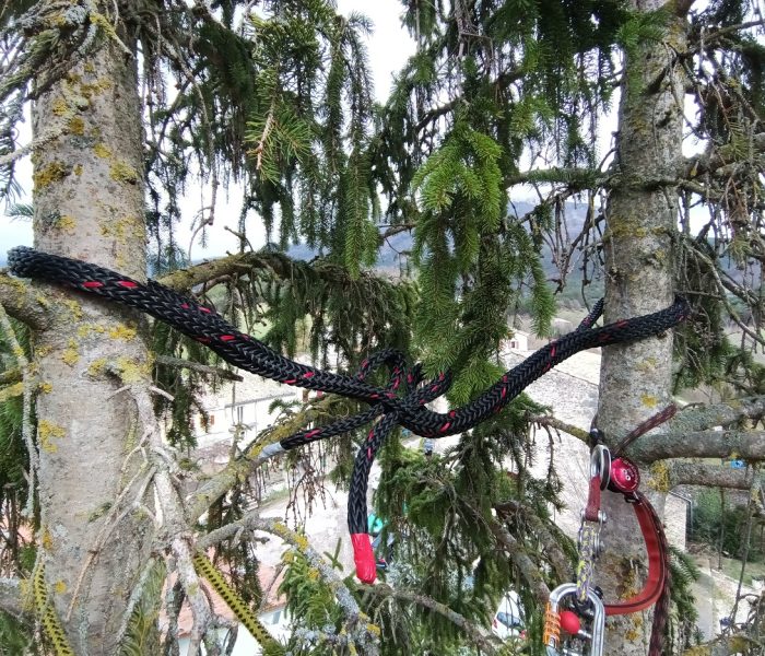 IMG_20260311_151542_642