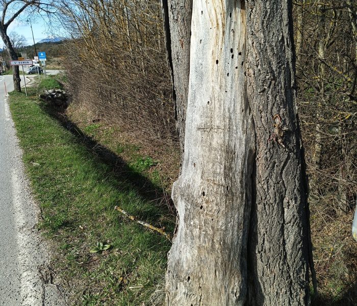 IMG_20260316_152141_135