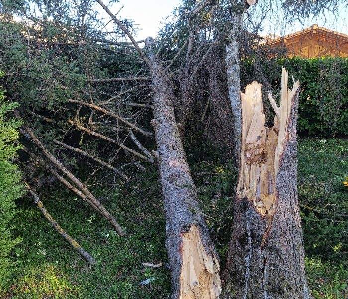 IMG_20260316_162239_511