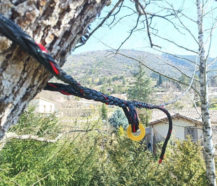 IMG_20260324_110123_682